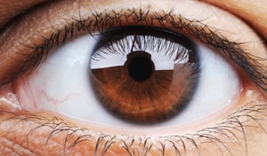 Closeup of human eye, macro mode