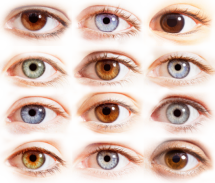 eyes-12