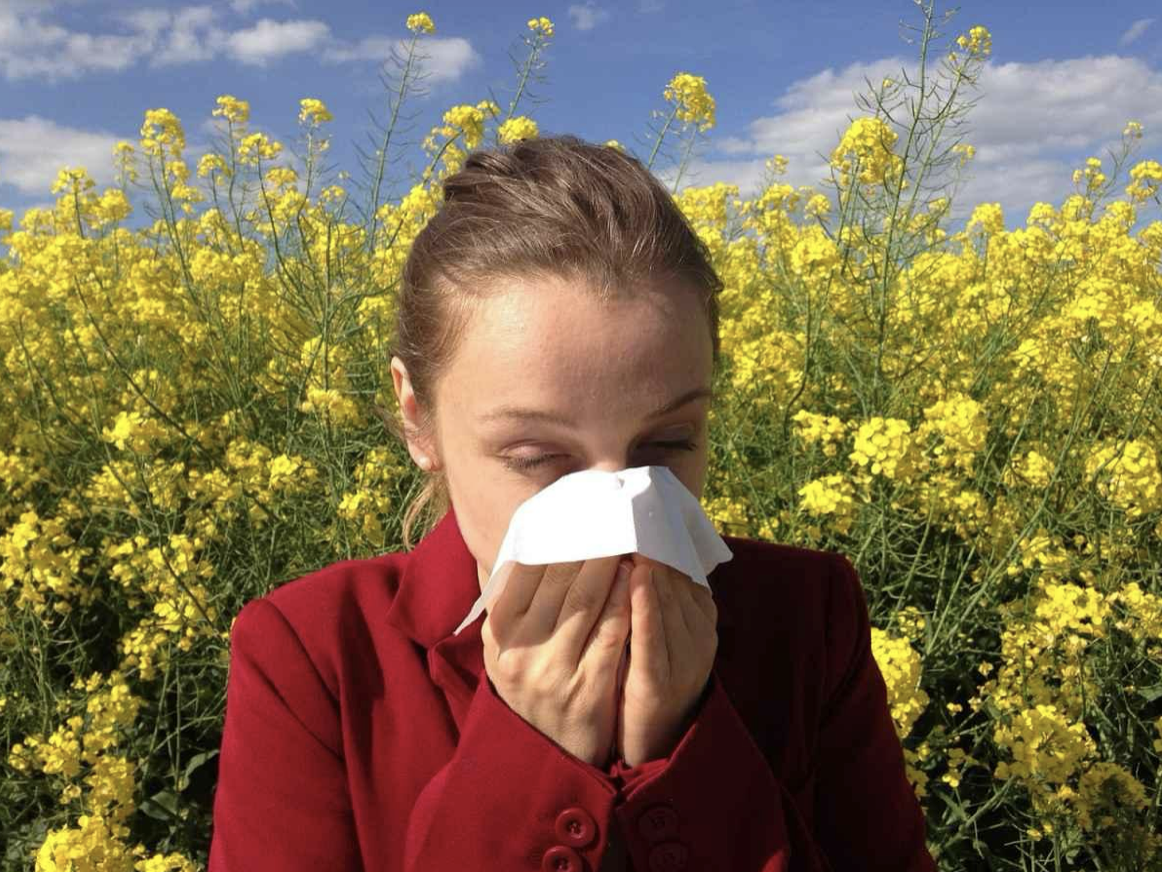 Pollen, Grass, and Eye Health: Tips for Allergy Season